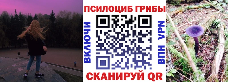 Псилоцибиновые грибы MAGIC MUSHROOMS  блэк спрут ссылки  Славск  наркота 